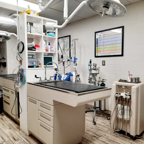 Exam Room and equipment at West Valley Veterinary Clinic